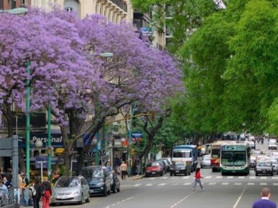 Departamento En Barrio Norte Buenos Aires Zewnętrze zdjęcie